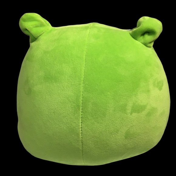 Squishmallows Wendy Green Frog Sensory Soft Plush Stuffed Animal 7.5" Toy Happy - Picture 6 of 7